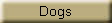 Dogs