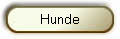 Hunde