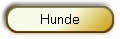 Hunde