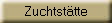 Zuchtsttte